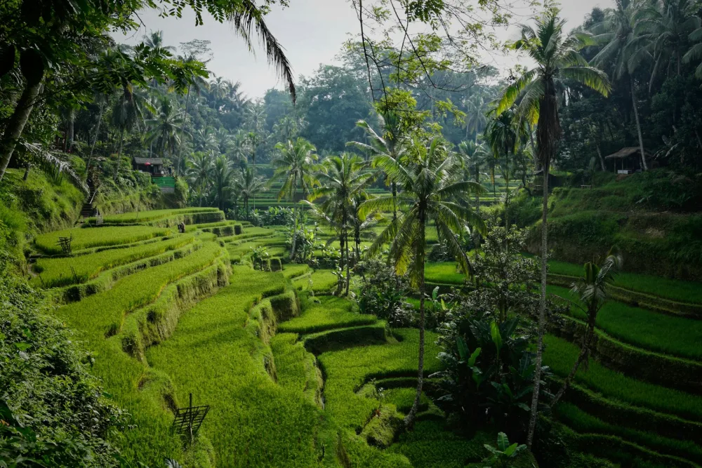 Bali photograph 03