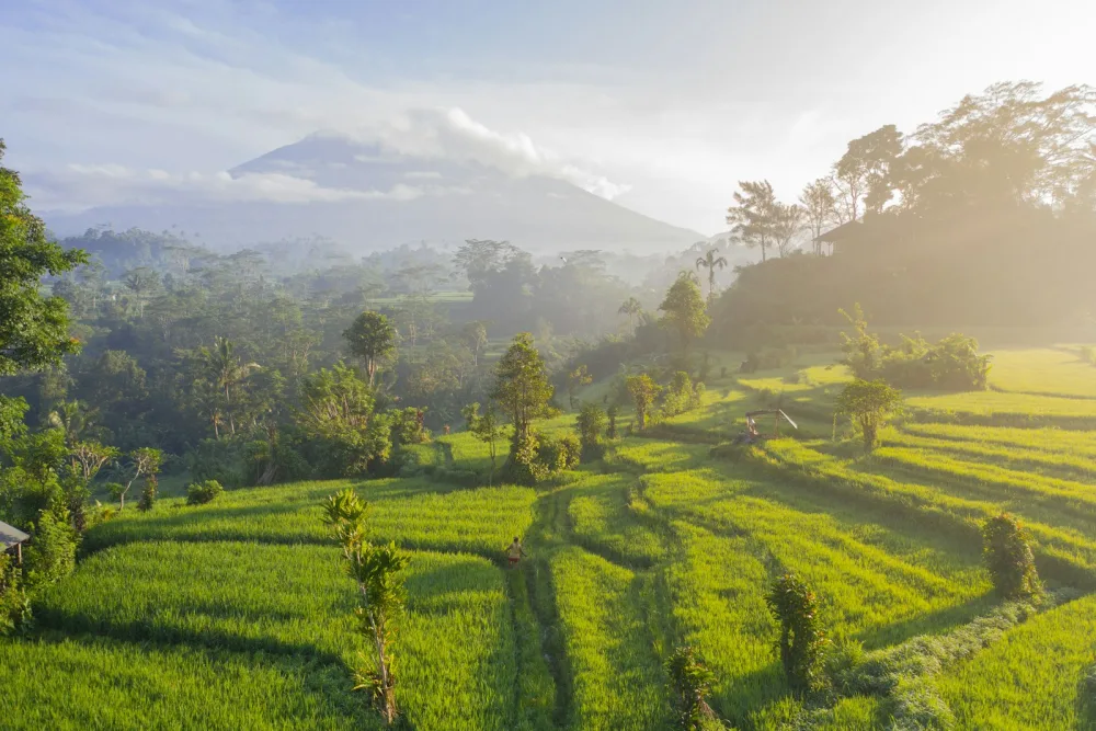 Bali photograph 09
