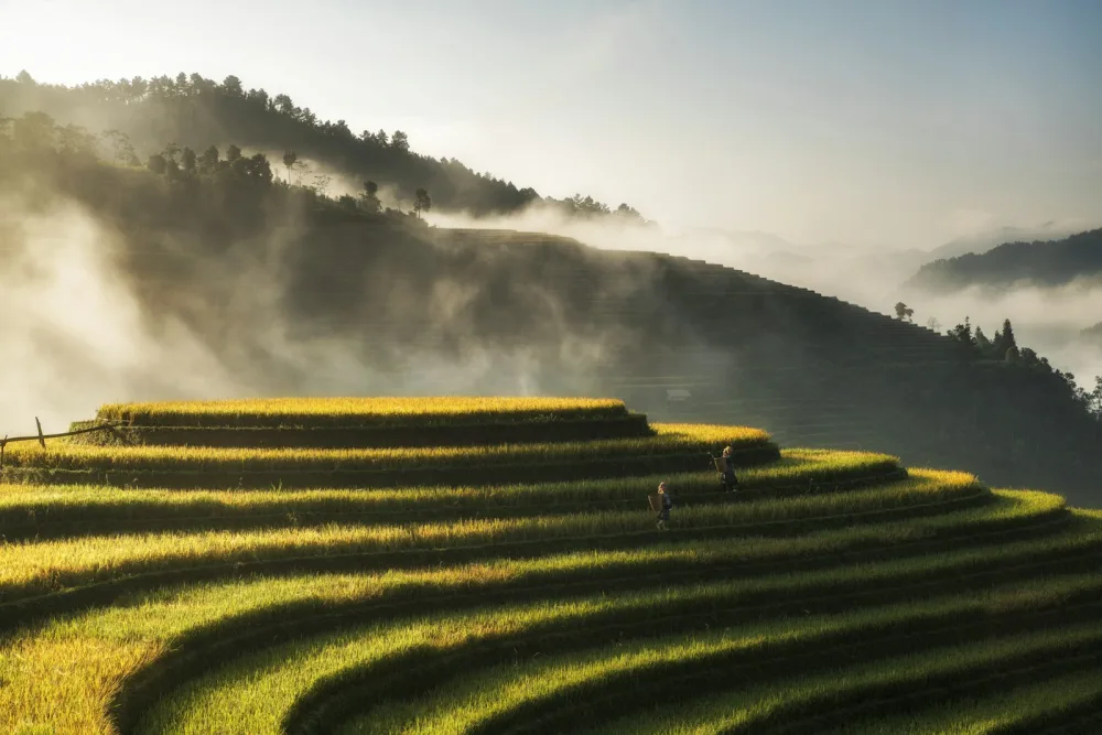 Vietnam photograph 07